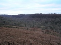 The Kilgetty Shoot - To Let