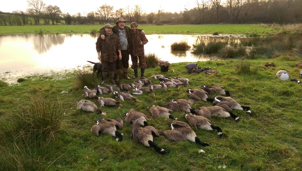 Watstock Shoot, West Kent, Pheasant, Partridge, Duck, Geese, Wildfowl
