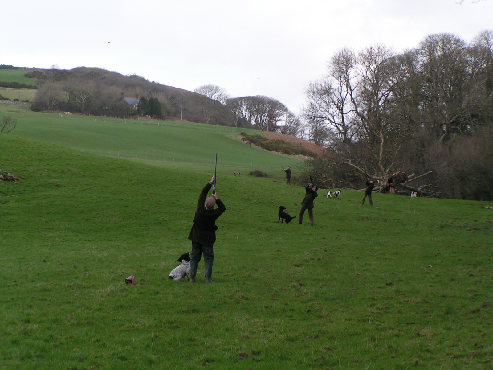 Shooting Estates Find Shoots & Venues Driven Shooting Estates on