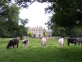Wykeham Abbey