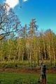 Newton Ferrers Estate