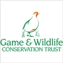 GWCTLogo