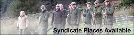 Syndicate Places