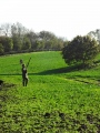 Traditional partridge drive at Ripley Castle
