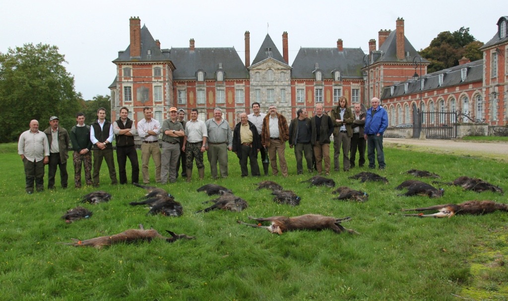 A First time for Driven Wild Boar in France The Sportsman by GunsOnPegs A First time for Driven Wild Boar in France The Sportsman by GunsOnPegs