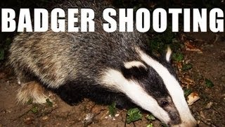 Fieldsports Britain : Shooting badgers and...