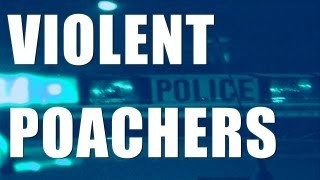 Fieldsports Britain : Violent poachers,...
