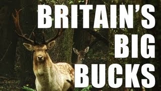 Fieldsports Britain : How to call in great...