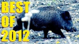 Fieldsports Britain : Best of 2012