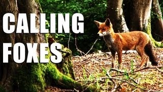 Fieldsports Britain : Shooting foxes,...
