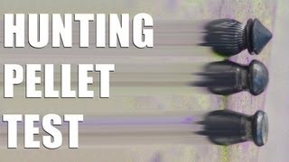 Fieldsports Britain : Rabbit shooting...