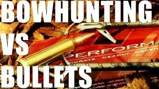 Fieldsports Britain : Bowhunting, bucks...