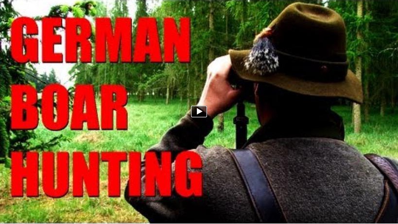 Fieldsports Britain : German boar,...