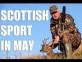 Fieldsports Britain : Scottish deer,...