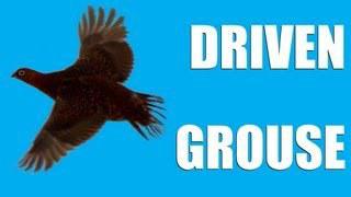 Fieldsports Britain : Driven grouse, Birr...