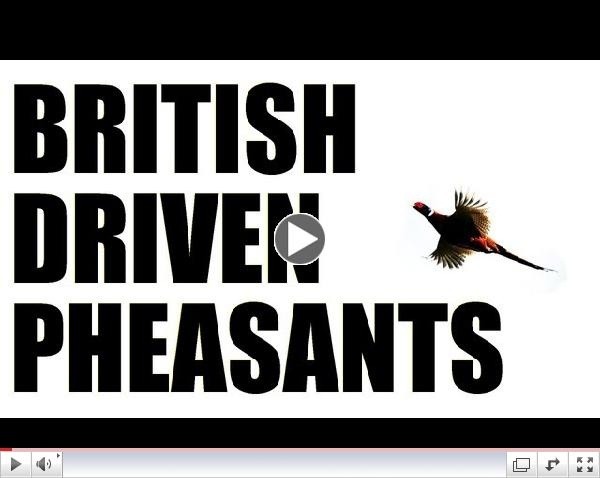 Fieldsports Britain : Driven pheasant...