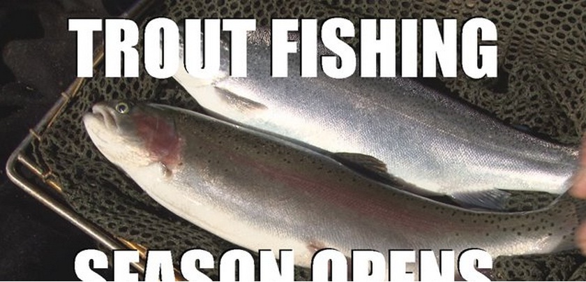 Fieldsports Britain: Trout fishing and the...