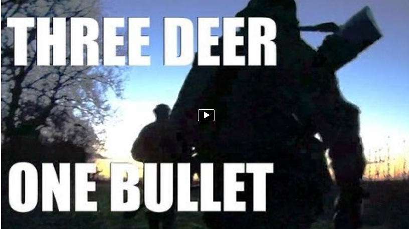 Fieldsports Britain, episode 119, 7th...