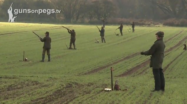 Hargham & Quidenham and Narford Shoots