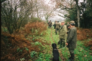 A line of Beaters at the Start of a Drive