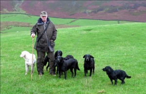 Picker Up and his Dogs