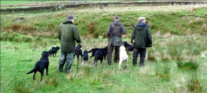 Picking Up Team