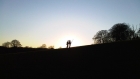 First Place - Simply put, Phil preferred this photo to all the others! He has been in this situation many times on the last drive of the day when the pheasants are off to roost and not flying over you!|Photo taken at Portman Burtley Estate in Buckinghamshire on 2nd January 2010- Sent in by Andrew Perks- Taken by mobile phone on the last drive of the day!