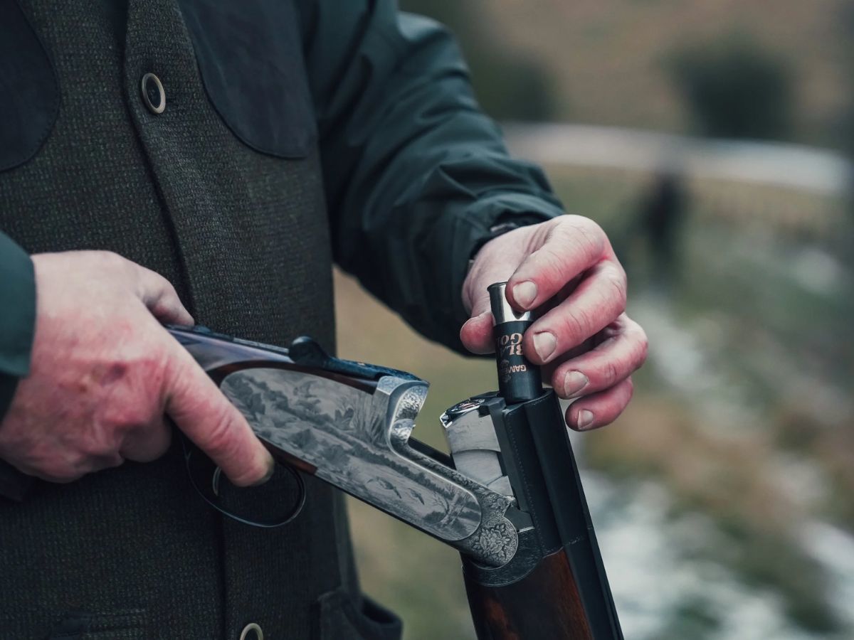 A Dummy's Guide to Shotgun Cartridges - GunsOnPegs