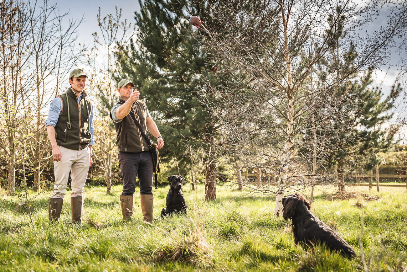 How to train the perfect gundog GunsOnPegs