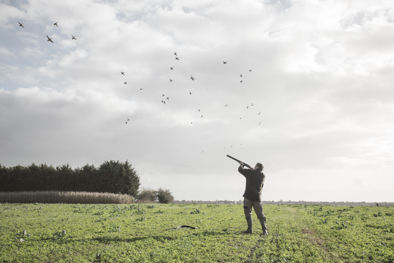 To shoot or not to shoot? GunsOnPegs