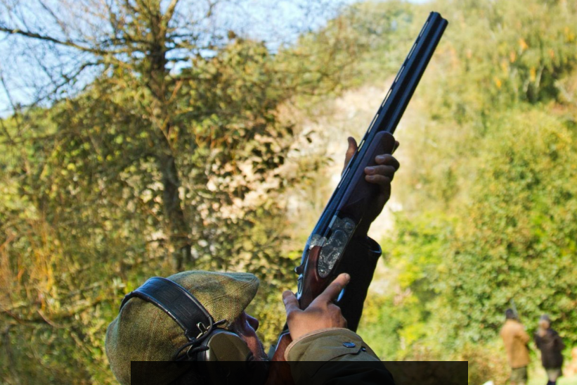 Driven Shooting Available GunsOnPegs Classifieds GunsOnPegs