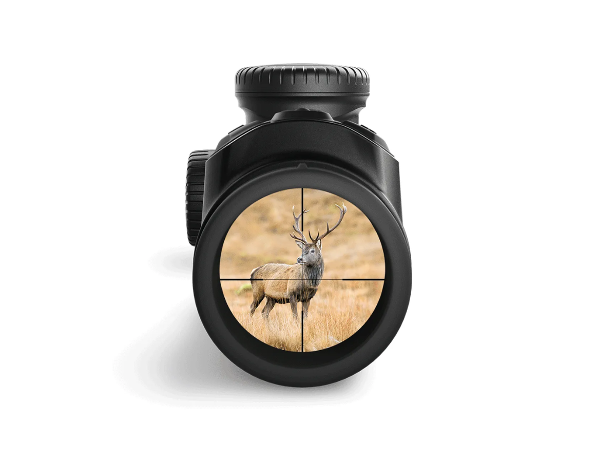 How To Choose A Rifle Scope - GunsOnPegs