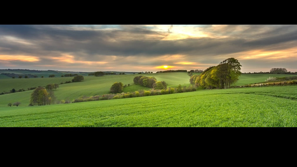 Teffont Magna Shoot, Wiltshire Availability on GunsOnPegs