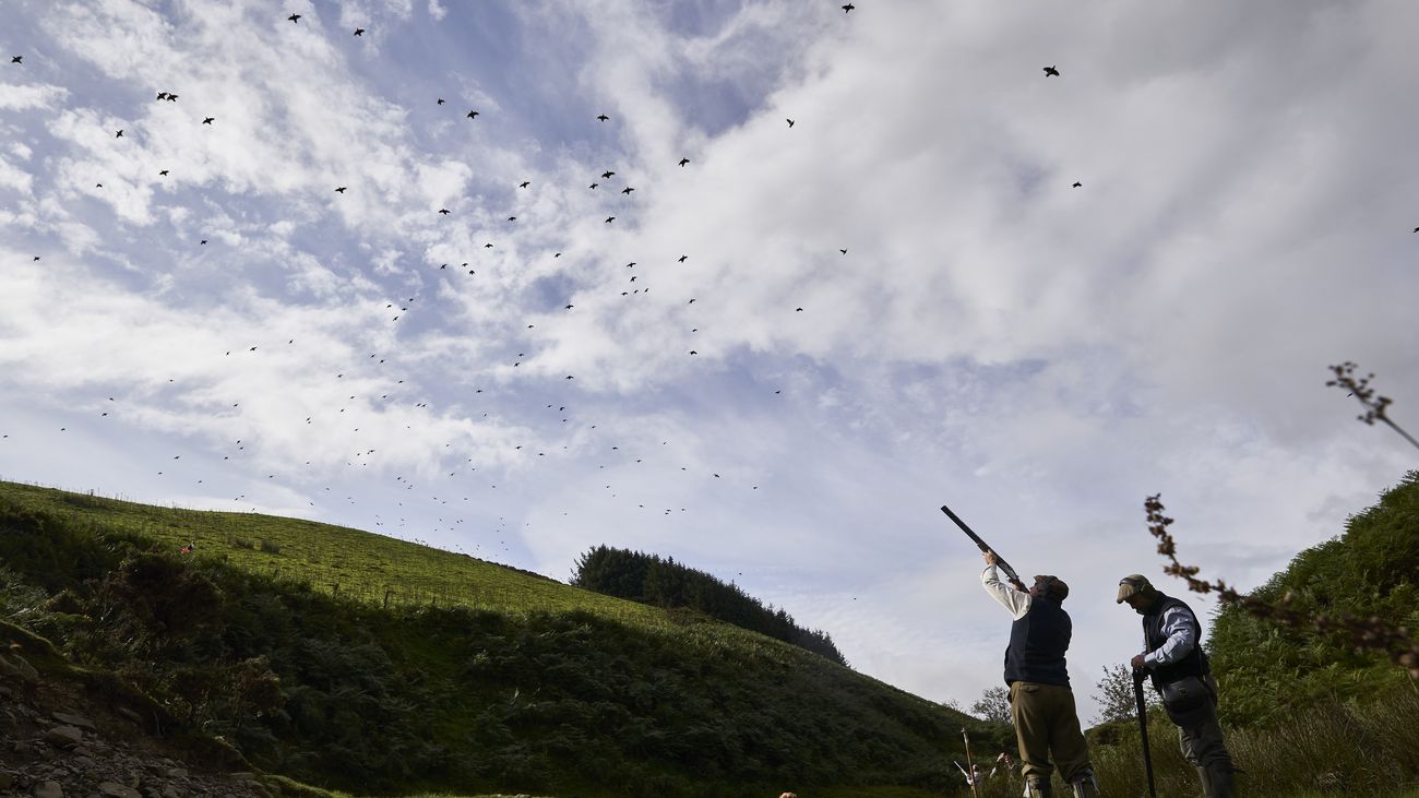 Shooting Partidge Partridge shooting in Wales - Shoots & Availability on GunsOnPegs